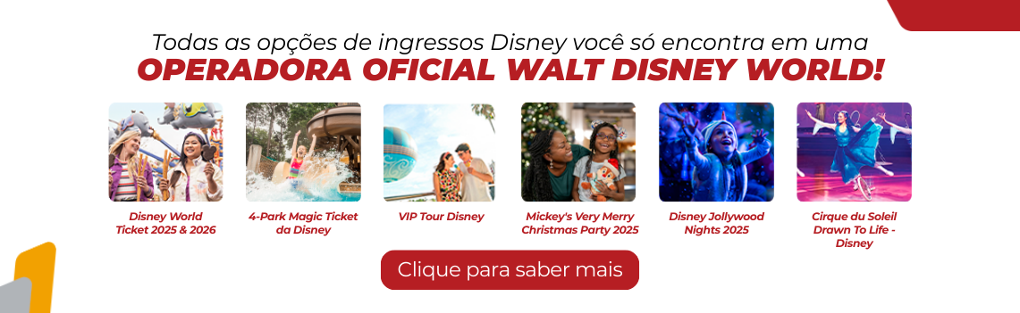 disney20255